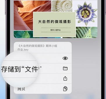 玉树apple维修中心分享iPhone文件应用中存储和找到下载文件