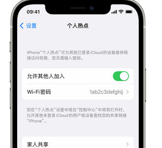 玉树apple服务站点分享iPhone上个人热点丢失了怎么办 