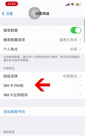 玉树苹果14维修网分享如何给iPhone14的SIM卡设置密码 