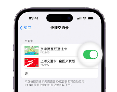 玉树apple维修点分享iPhone上更换Apple Pay快捷交通卡手绘卡面 