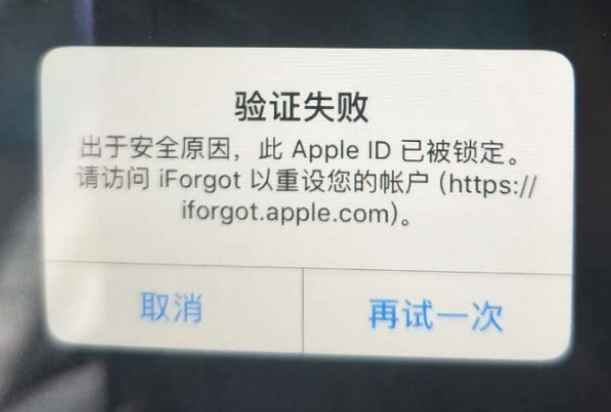 玉树iPhone维修分享iPhone上正常登录或使用AppleID怎么办 