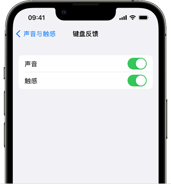 玉树苹果14维修店分享如何在 iPhone 14 机型中使用触感键盘 