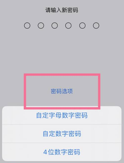 玉树苹果14维修分享iPhone 14plus设置密码的方法 