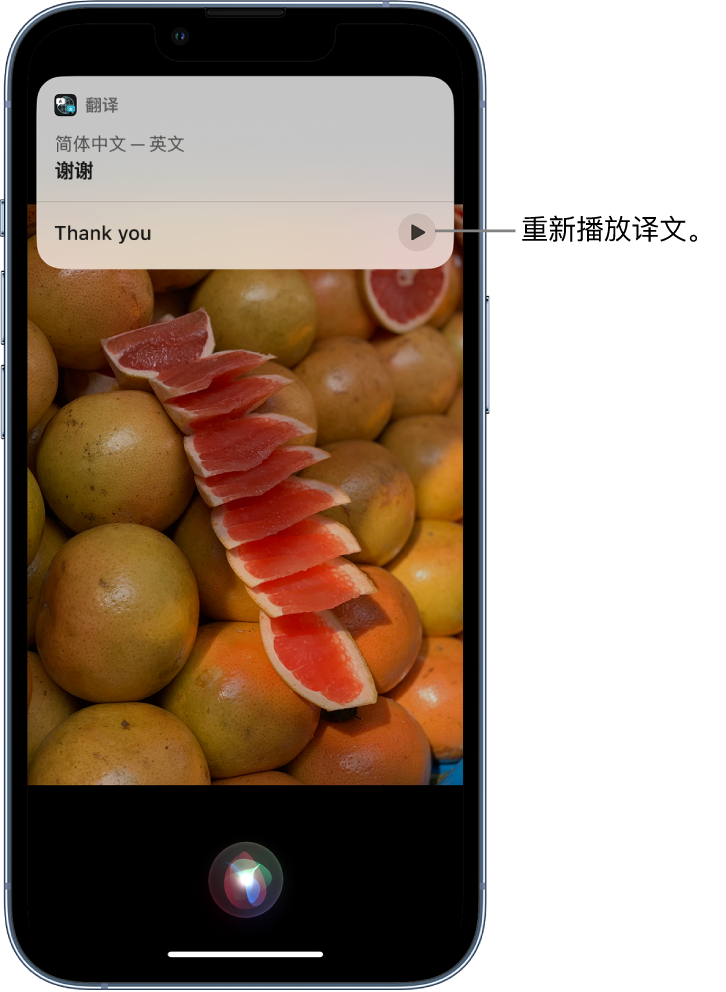 玉树苹果14维修分享 iPhone 14 机型中使用 Siri：了解 Siri 能帮你做什么 