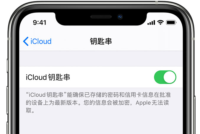 玉树苹果手机维修分享在 iPhone 上开启 iCloud 钥匙串之后会储存哪些信息 