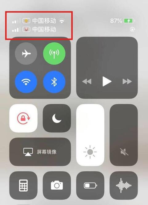 玉树苹果手机维修分享为 iPhone 12 双卡设置标签 