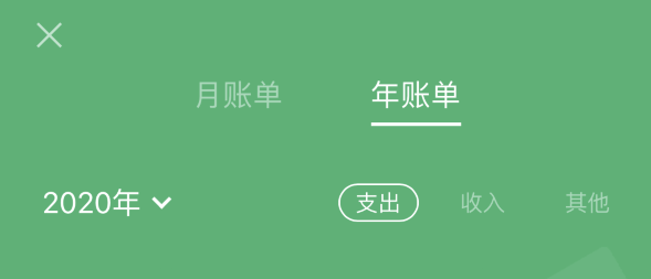 玉树苹果手机维修分享如何在 iPhone 上查看支付宝和微信年支出账单 