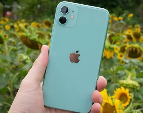 玉树苹果维修点分享iPhone 11锁屏密码认知与使用科普 